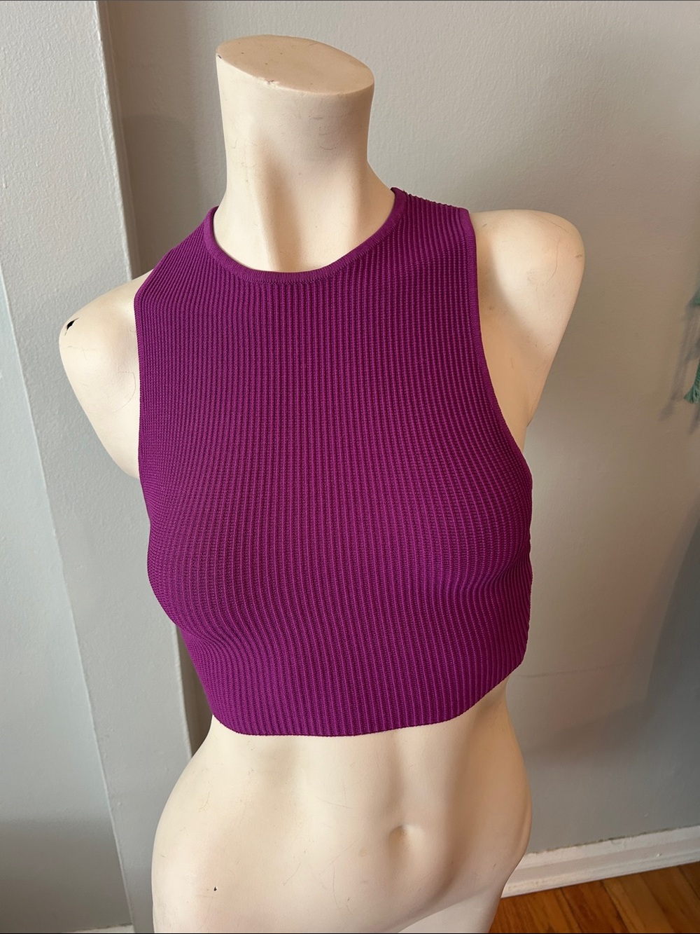 Babaton / Aritzia Ribbed Cropped Tank - Magenta Purple